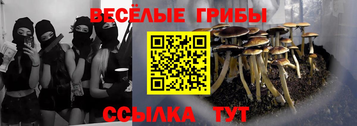 Псилоцибиновые грибы прущие грибы  Вход с VPN  Кропоткин 